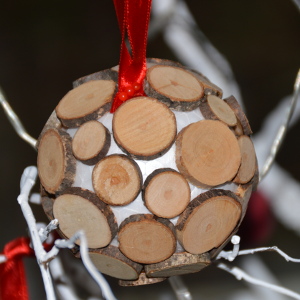 kerstboom kerst houtschijfjes boomschijfjes